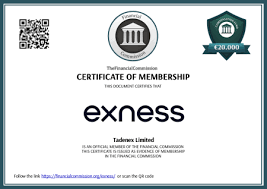 Exploring the Exness Demo Account Your Gateway to Trading Success Exploring the Exness Demo Account Your Gateway to Trading Success