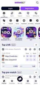 Казино на смартфоне Гид по мобильным азартным играм
